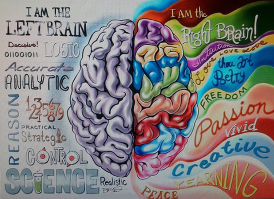 Как научить мозг учиться