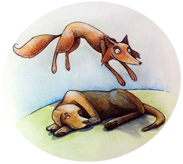 Английская панграмма The quick brown fox jumps over the lazy dog